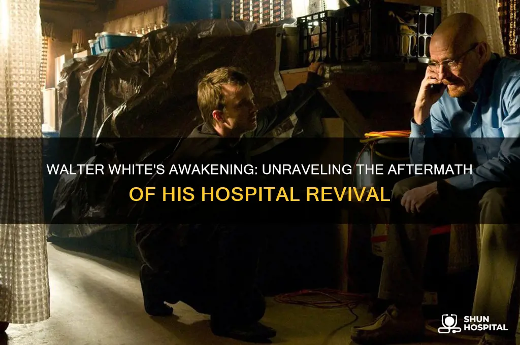 what happens after walter white wakes up in the hospital