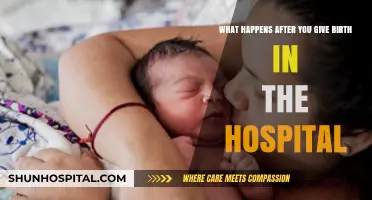 Postpartum Hospital Care: What New Moms Experience After Delivery