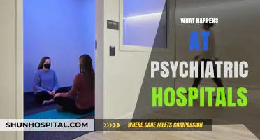 Inside Psychiatric Hospitals: Understanding Treatment, Care, and Recovery Processes