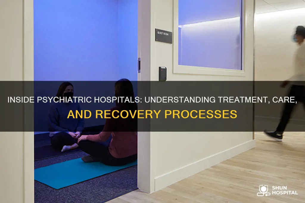 what happens at psychiatric hospitals