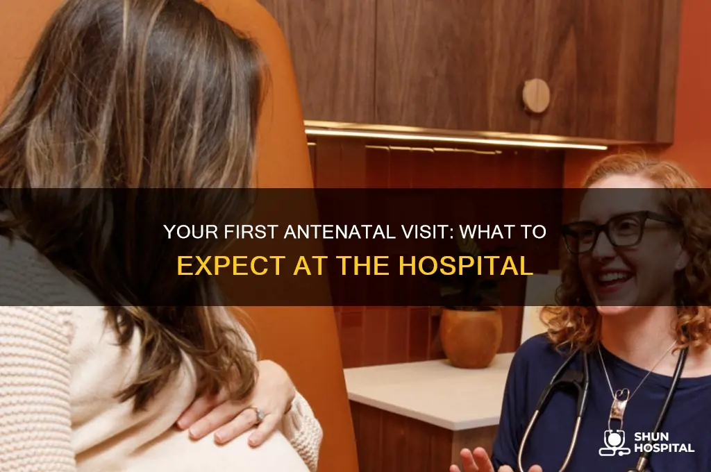 what happens at your first antenatal appointment at the hospital