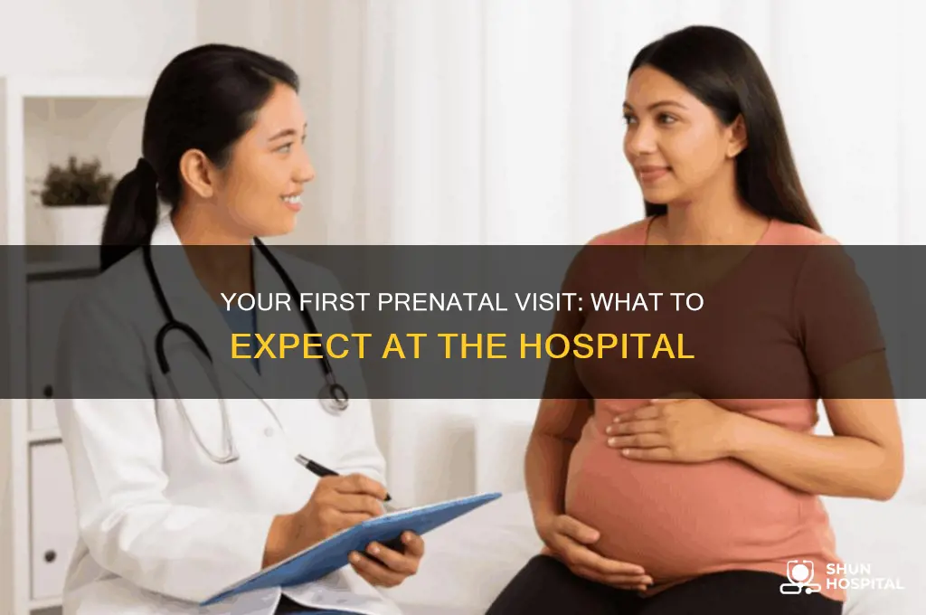 what happens at your first hospital appointment when pregnant