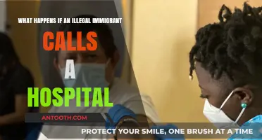 Illegal Immigrants Calling Hospitals: Rights, Risks, and Realities Explained