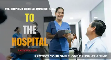 Illegal Immigrants Seeking Hospital Care: Rights, Risks, and Realities Explained