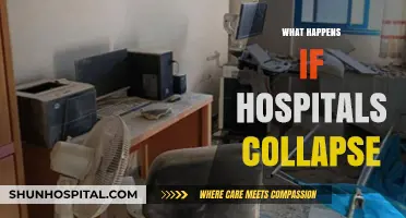 Hospitals on the Brink: Consequences of a Healthcare System Collapse