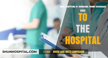 Navigating Healthcare Abroad: What Happens When Overseas Visitors Need Hospital Care?