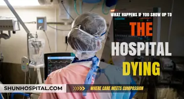Dying at the Hospital: What Happens When You Arrive in Critical Condition?