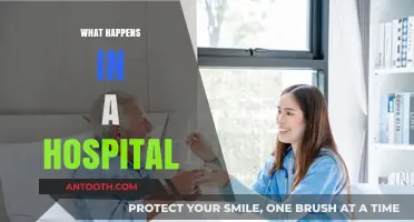 Inside the Hospital: A Day in the Life of Care and Chaos