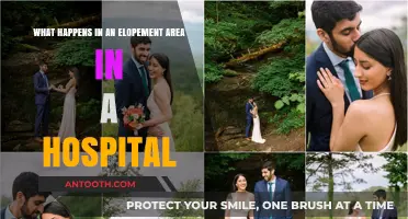 Understanding the Role and Function of a Hospital's Elopement Area