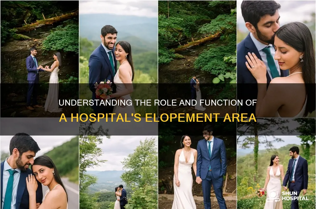 what happens in an elopement area in a hospital
