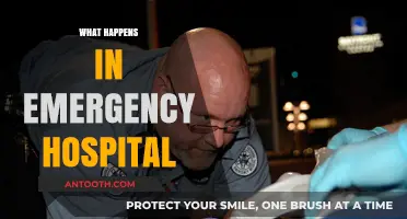 Emergency Hospital Insights: What Really Happens in Critical Situations