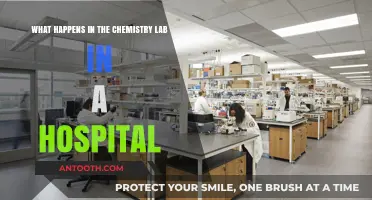 Unveiling the Vital Role of Hospital Chemistry Labs in Patient Care