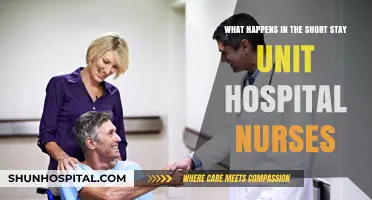 Short Stay Unit Insights: Nurses' Roles and Patient Care Dynamics