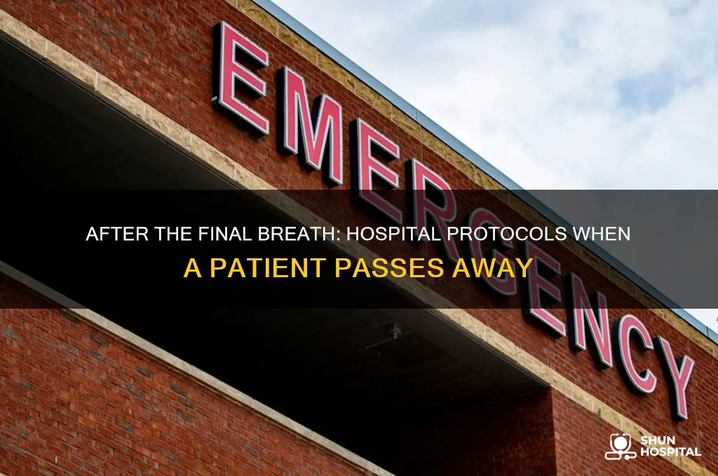 what happens next when a pt dies at hospital