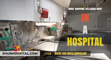 Hospital Mortuary Procedures: What Happens to a Deceased Patient's Body