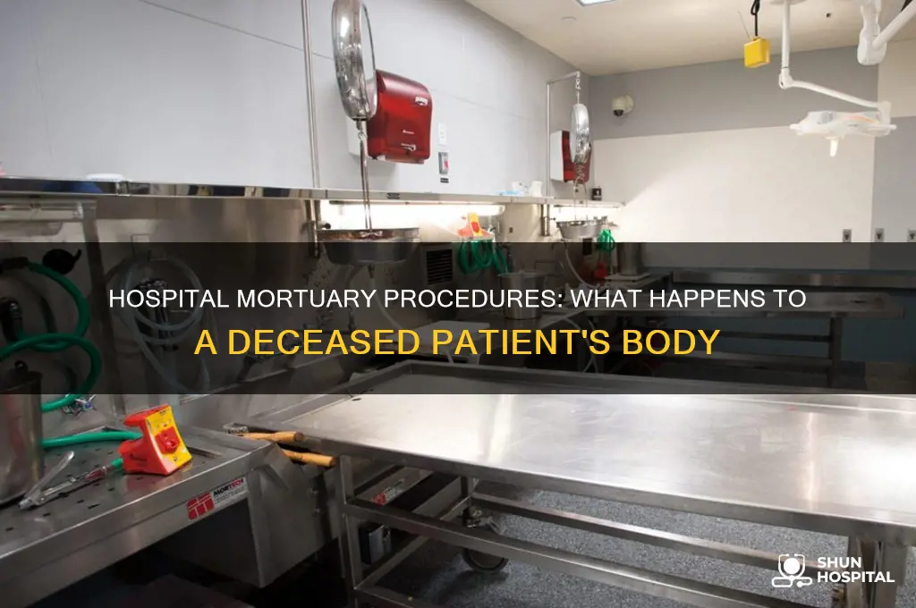 what happens to a dead body in a hospital