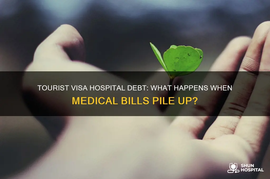 what happens to hospital dept for a tourist visa