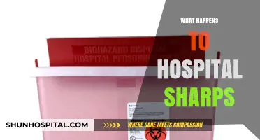 Hospital Sharps Disposal: Safe Handling, Environmental Impact, and Compliance