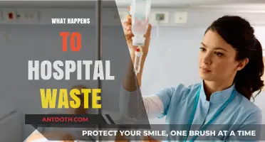 Hospital Waste Disposal: Unveiling the Journey from Bedside to Safe Management
