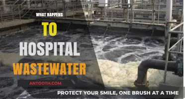 Hospital Wastewater Treatment: Disposal, Environmental Impact, and Safety Measures