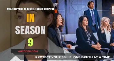 Seattle Grace's Fate: Unraveling Season 9's Hospital Transformation