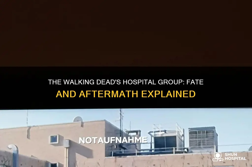 what happens to the hospital group in the walking dead