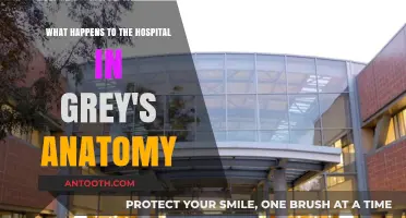 Grey's Anatomy's Hospital Fate: A Comprehensive Look at Its Evolution