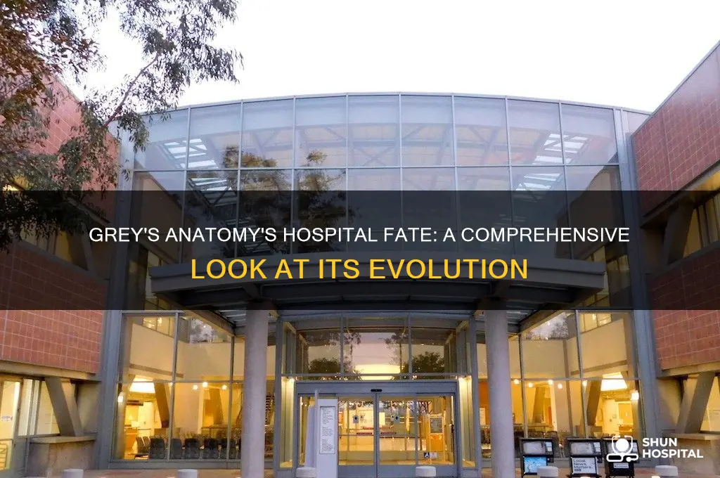 what happens to the hospital in grey
