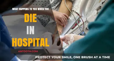 The Final Moments: Understanding Hospital Death Procedures and Aftercare