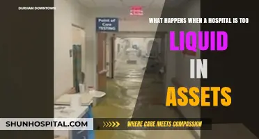 Over-Liquid Hospitals: Risks, Consequences, and Financial Stability Concerns