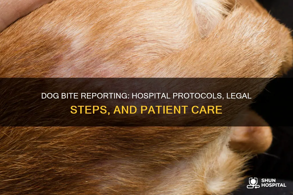 what happens when a hospital reports a dog bite