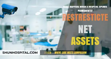 Hospital Financial Missteps: Consequences of Misusing Permanently Restricted Net Assets