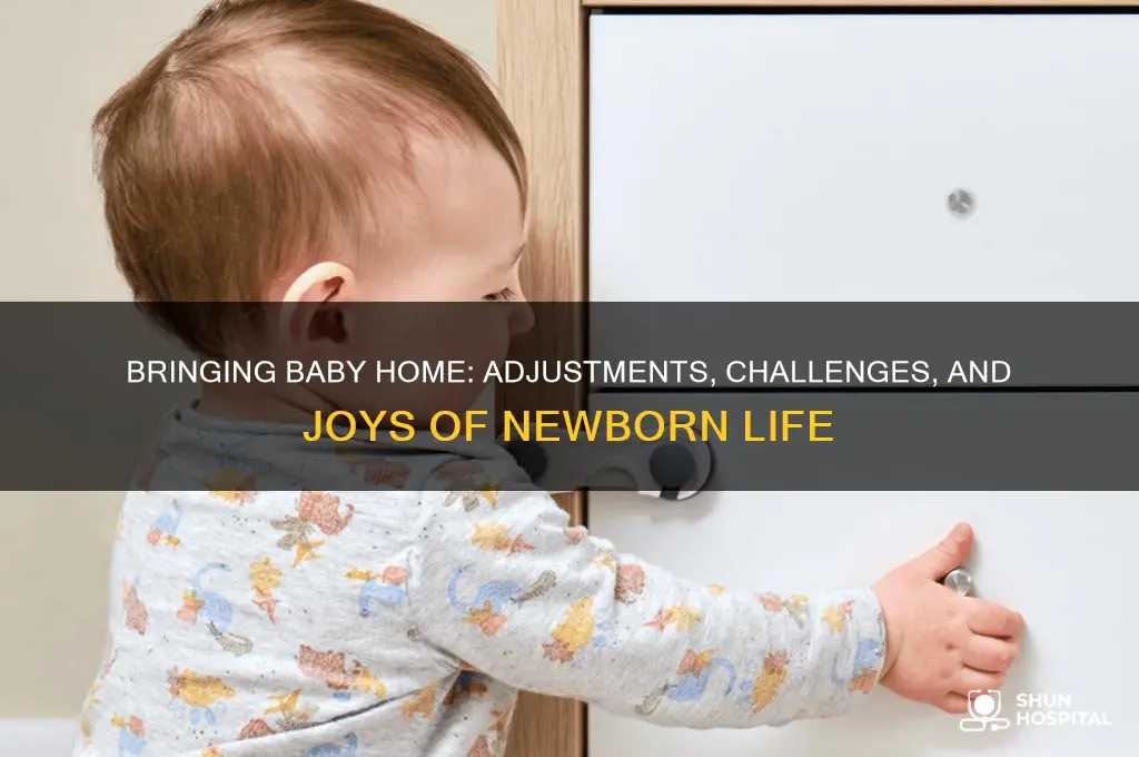 what happens when a newborn is brought home from hospital
