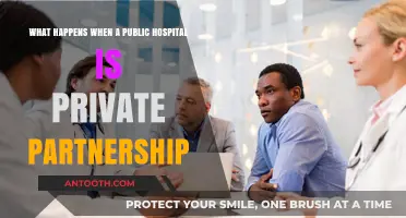 Public-Private Partnerships in Healthcare: Transforming Public Hospitals' Operations and Outcomes