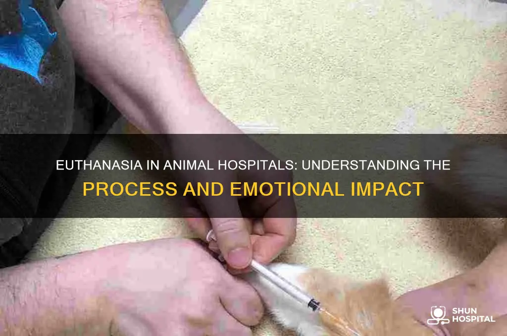 what happens when animal hospitals puts an animal to sleep