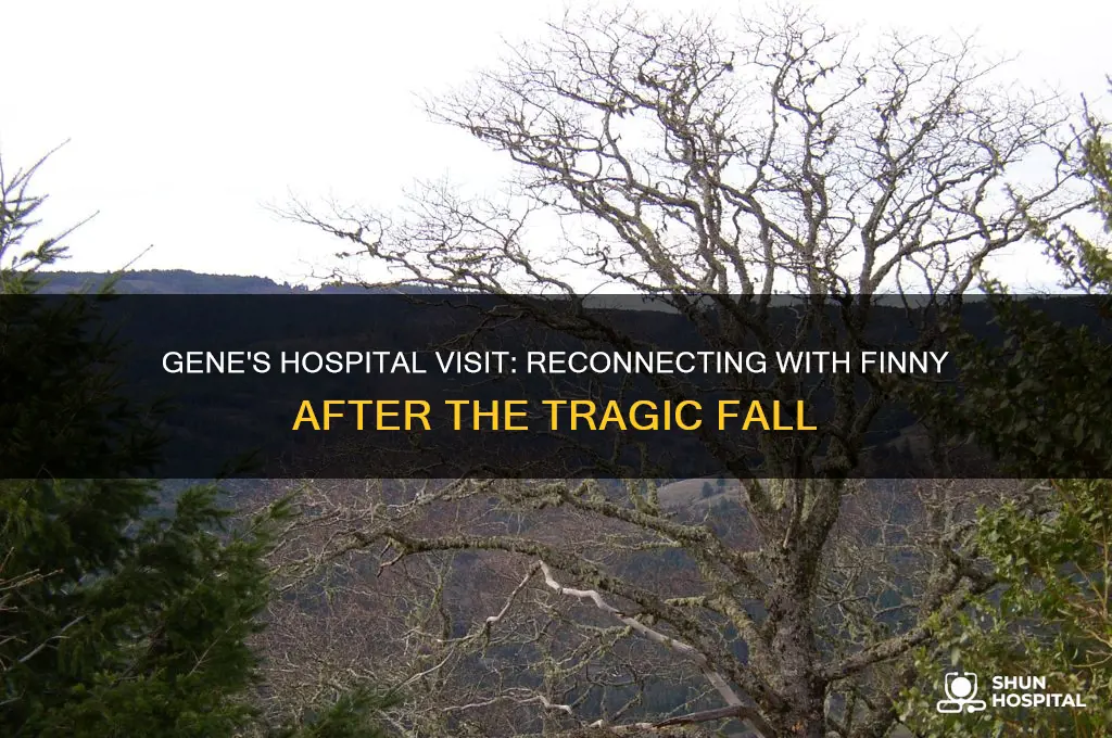 what happens when gene visits finny in the hospital