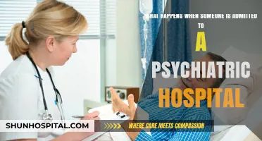 Inside Psychiatric Care: The Admission Process and Patient Experience