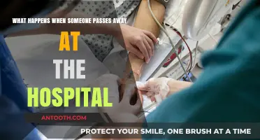 Hospital Deaths: Procedures, Support, and What Families Need to Know