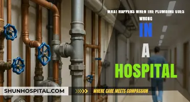 Hospital Plumbing Failures: Consequences and Critical Solutions for Patient Safety