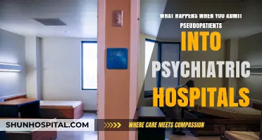 Unveiling the Impact of Pseudopatients on Psychiatric Hospital Admissions
