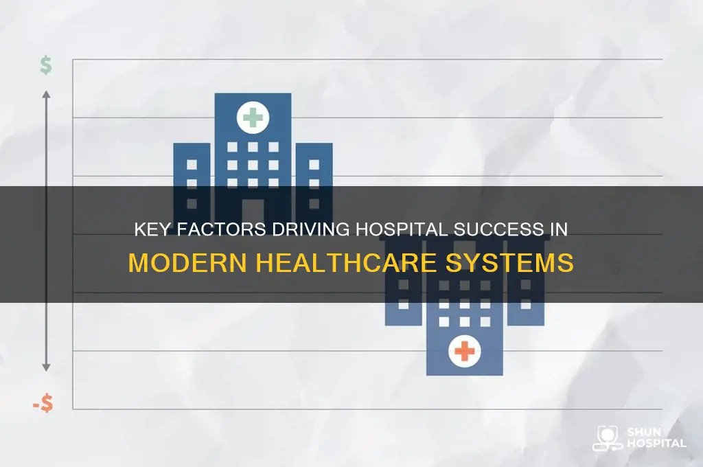 what has made hospitals successful