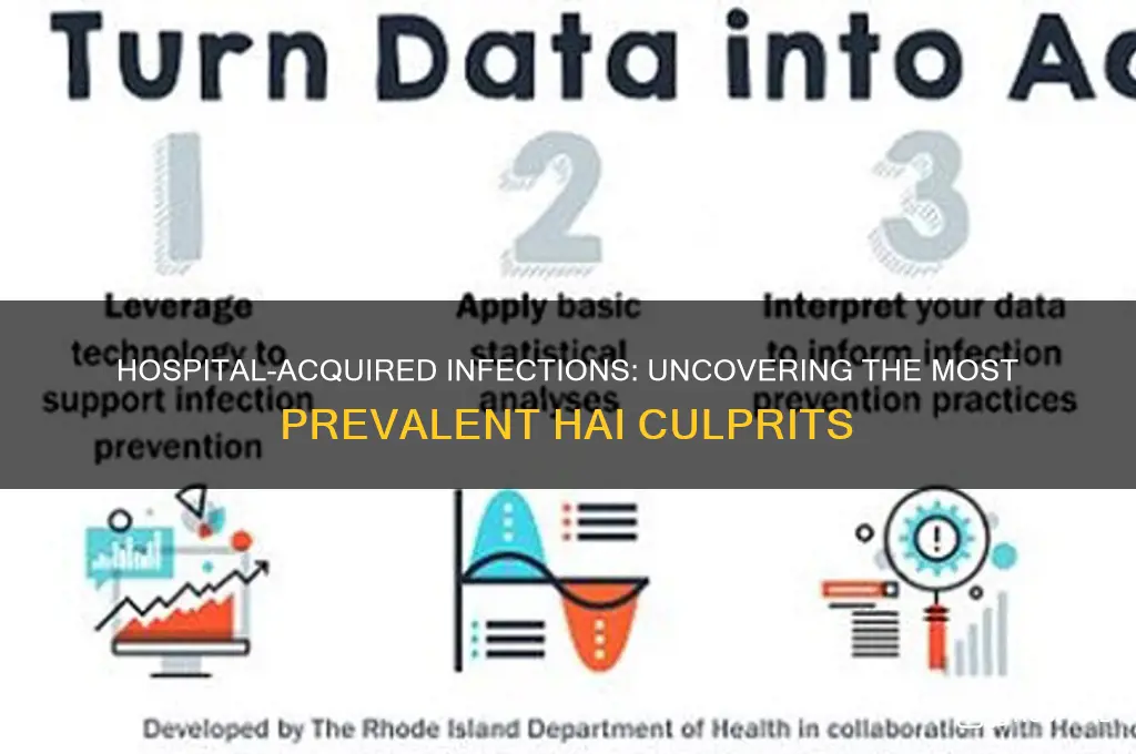 what has the greatest prevalence of hospital acquired infections hais