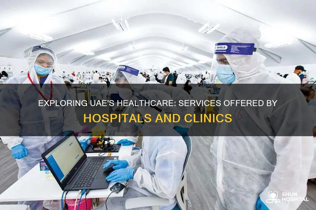 what health services do hospitals and clinics offer in uae
