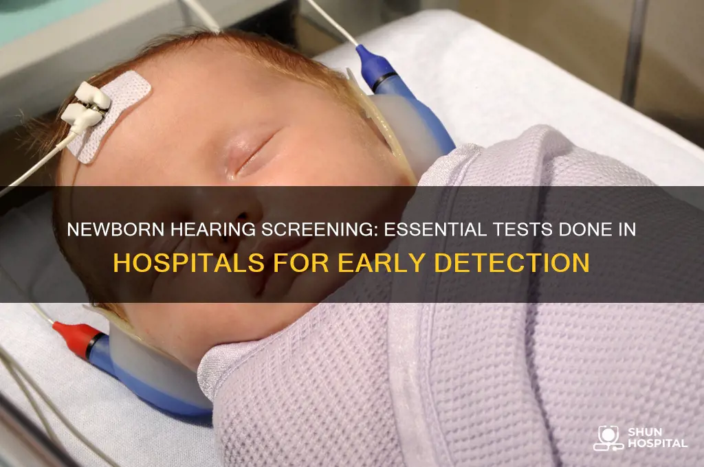 what hearing test do they do to newborns in hospital