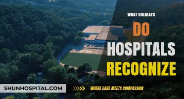 Holidays in Healthcare: Recognized Observances in Hospital Settings