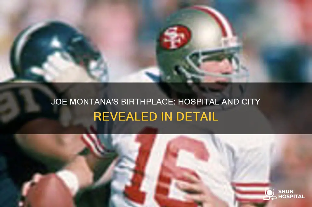 what hospital and city was joe montana born at