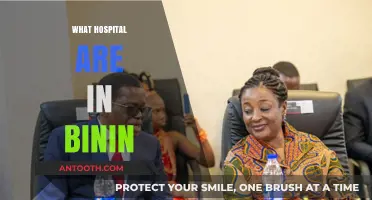 Discovering Healthcare: Hospitals and Medical Facilities in Binin City