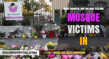 New Zealand Mosque Attack Victims: Hospitals Providing Care and Recovery