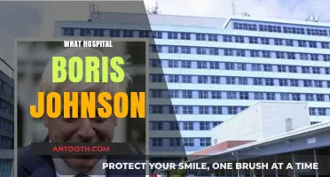 Boris Johnson's Hospitalization: Which Facility Treated the Former UK PM?