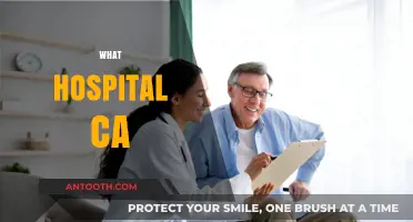 What Hospital Can Offer: Essential Services and Patient Care Explained